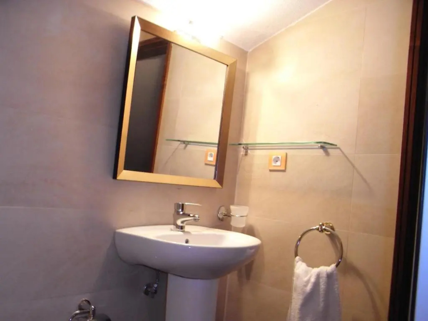 Casa das Camélias - I.B.G. HOME