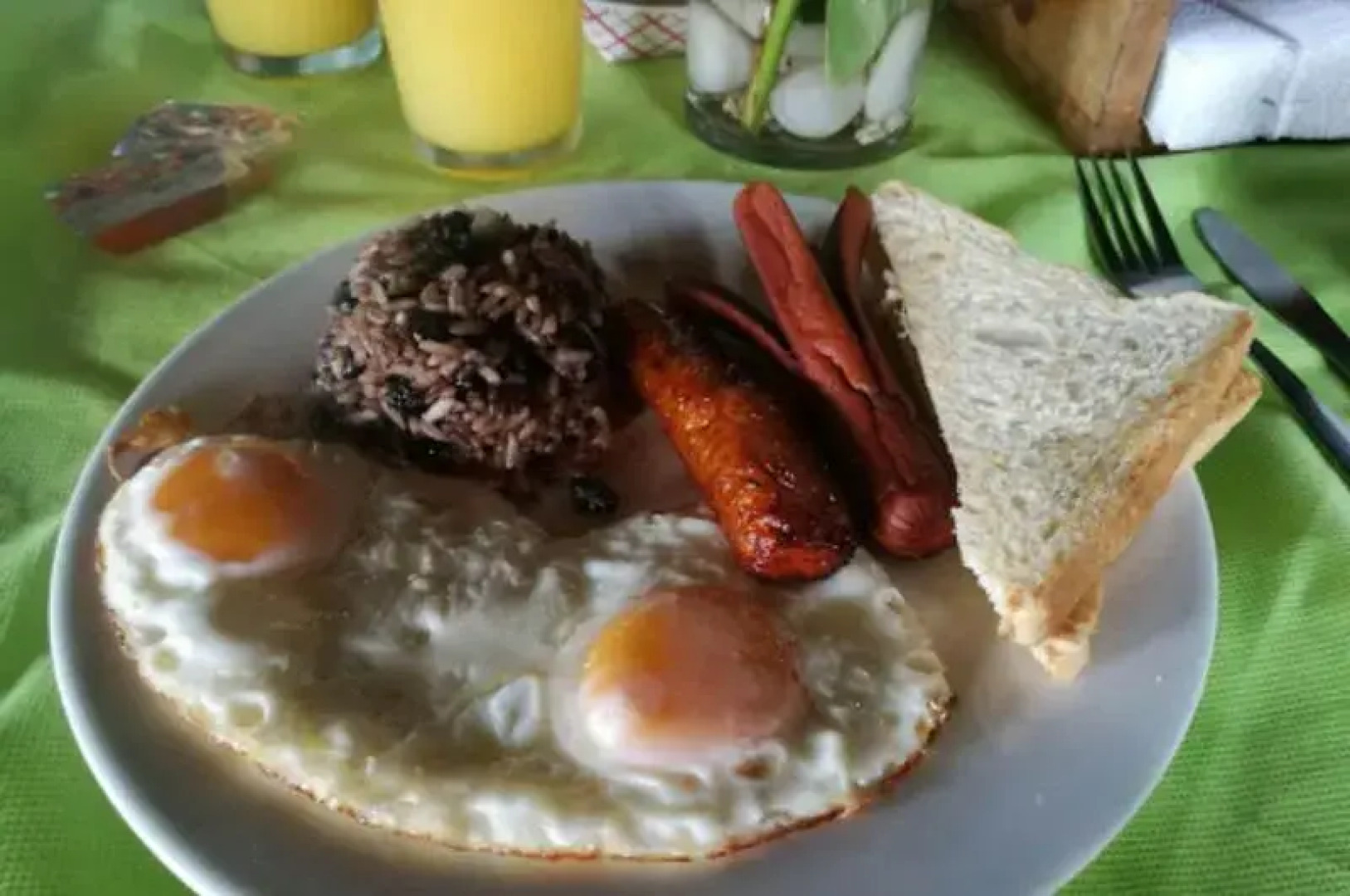 Hotel Rincon De La Vieja Lodge