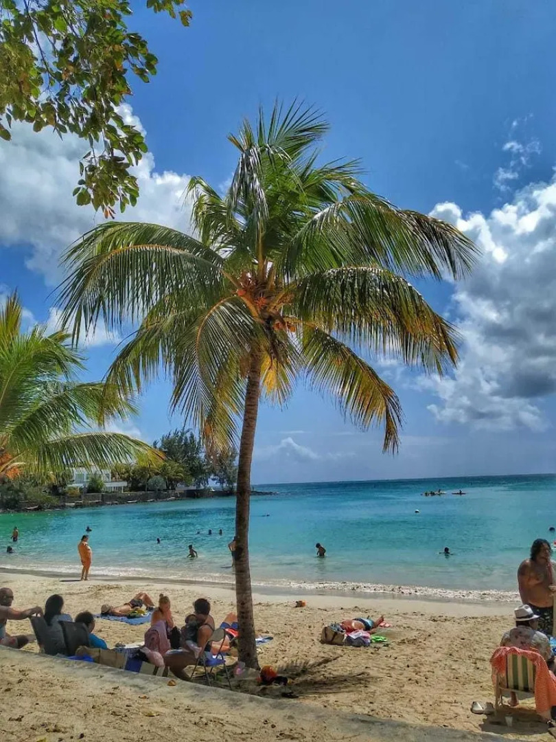 Residence Red Lory Pereybere
