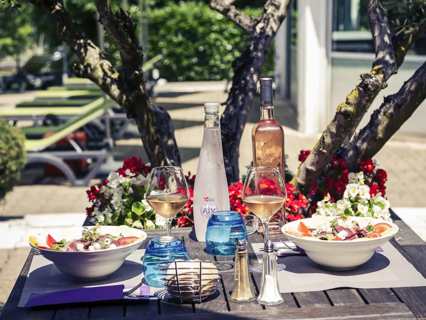 Mercure Hotel & Spa Aix-les-Bains Domaine Marlioz