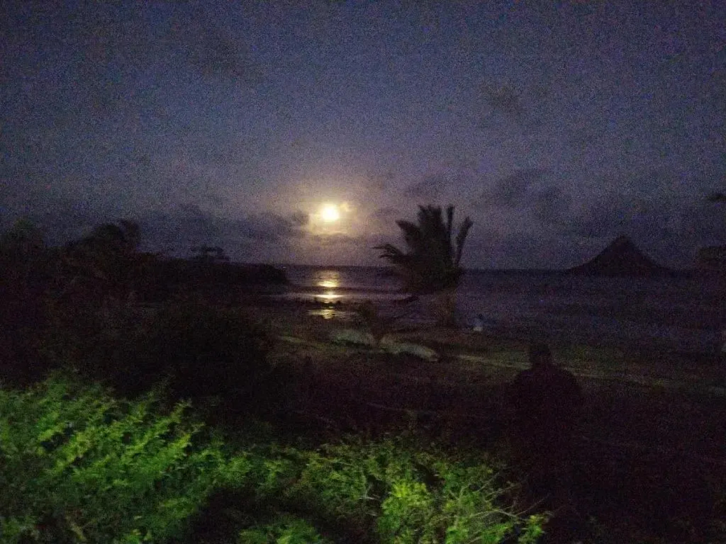 Sanjeela Plage Coco