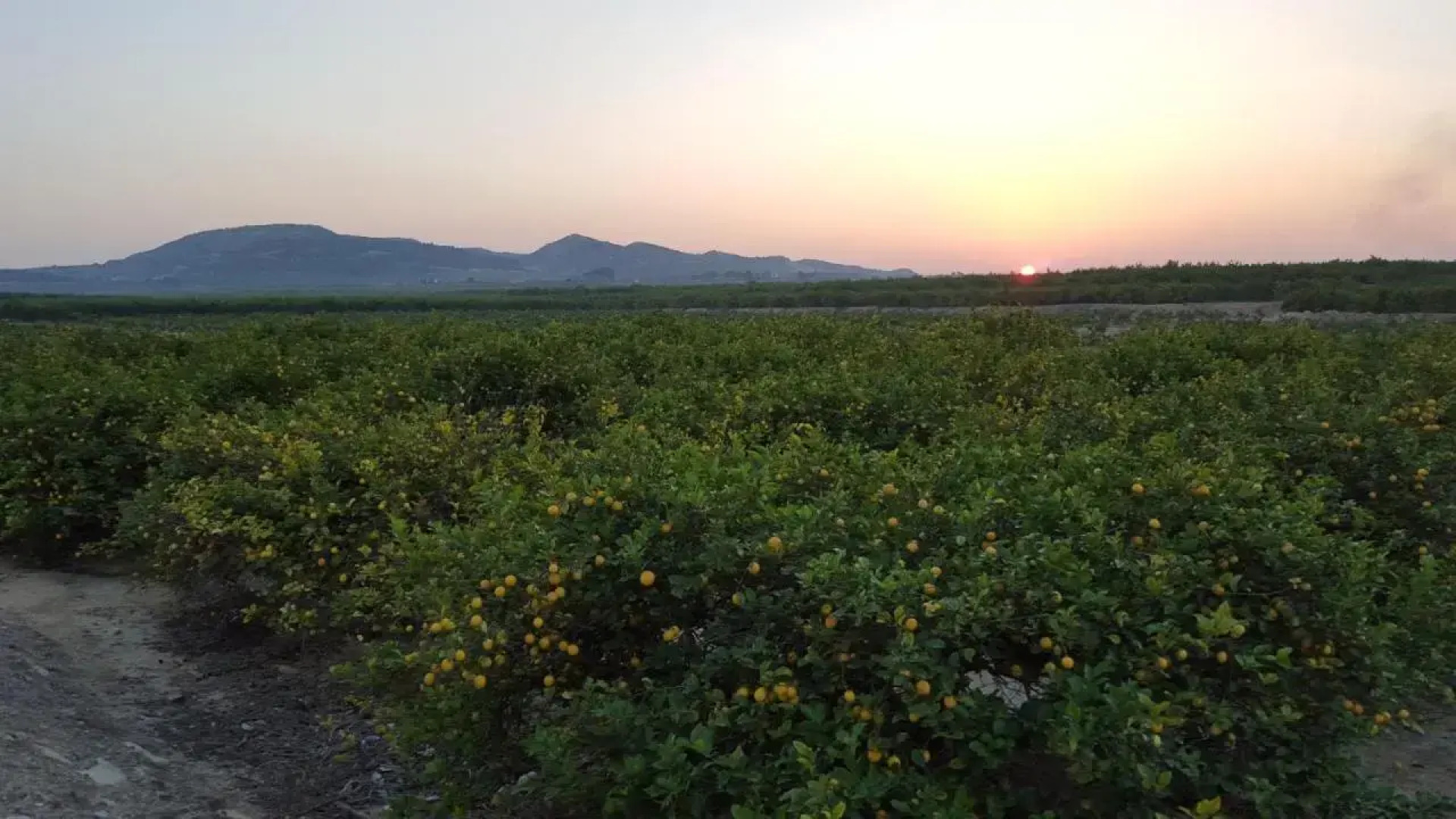 Casa Veran at La Finca Golf