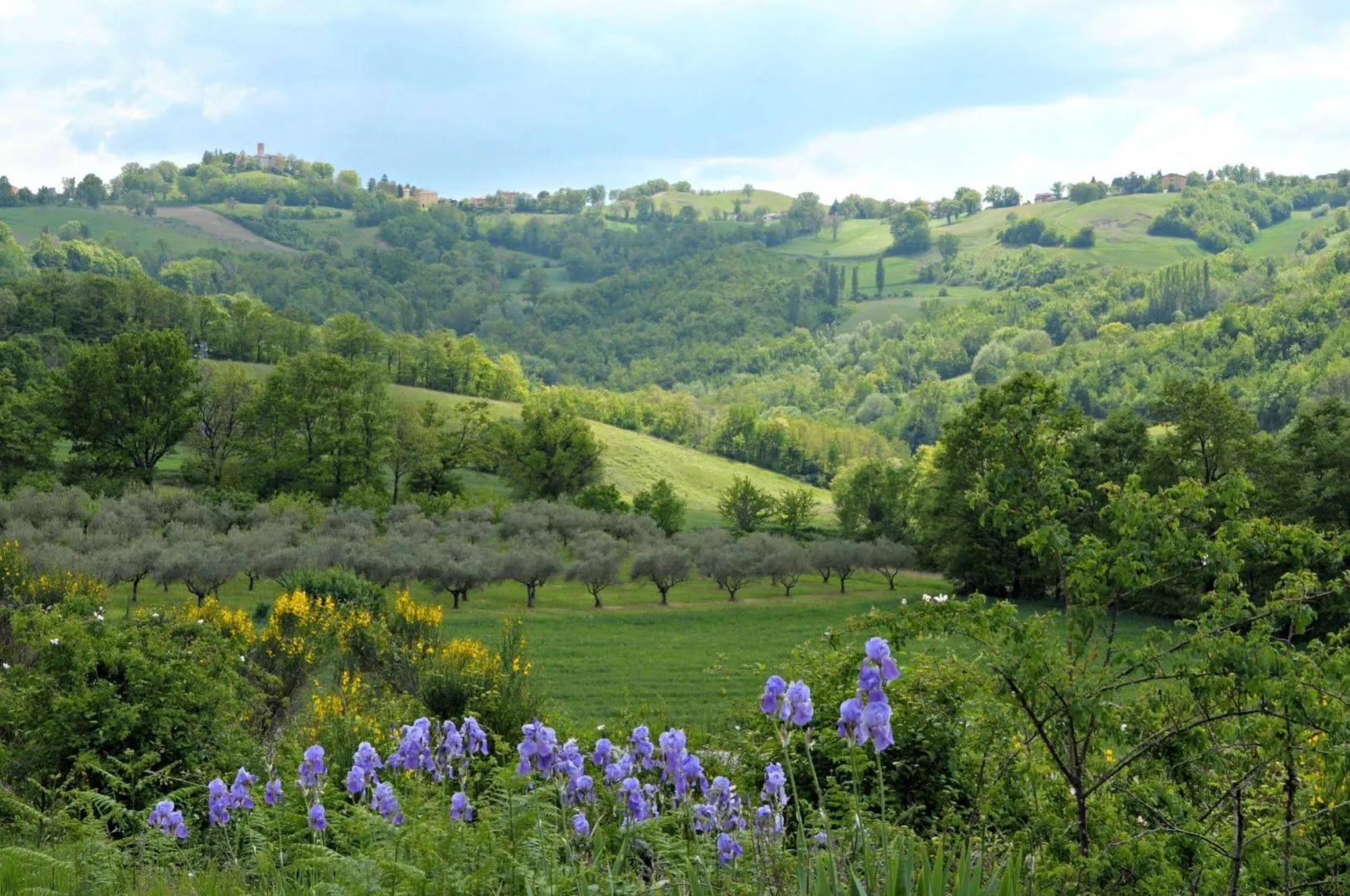 Cottage in Umbria