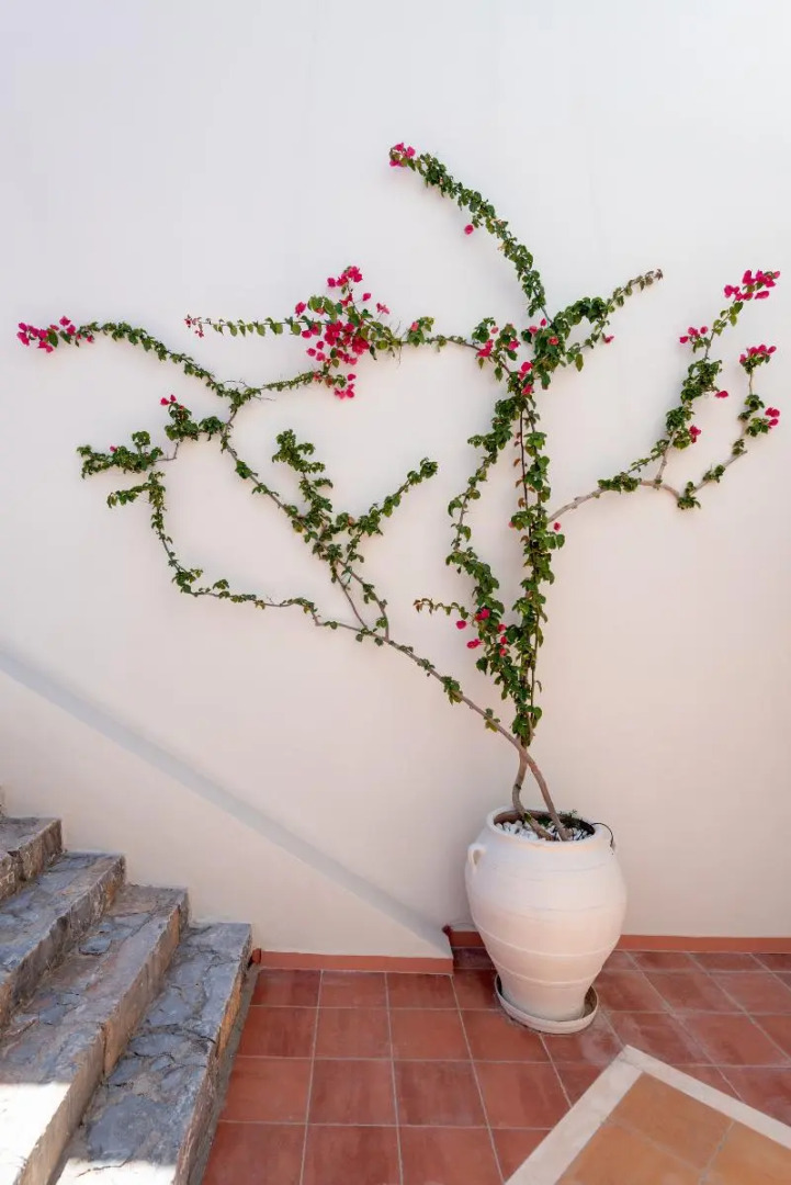 Minois Boutique Hotel - Adults Only