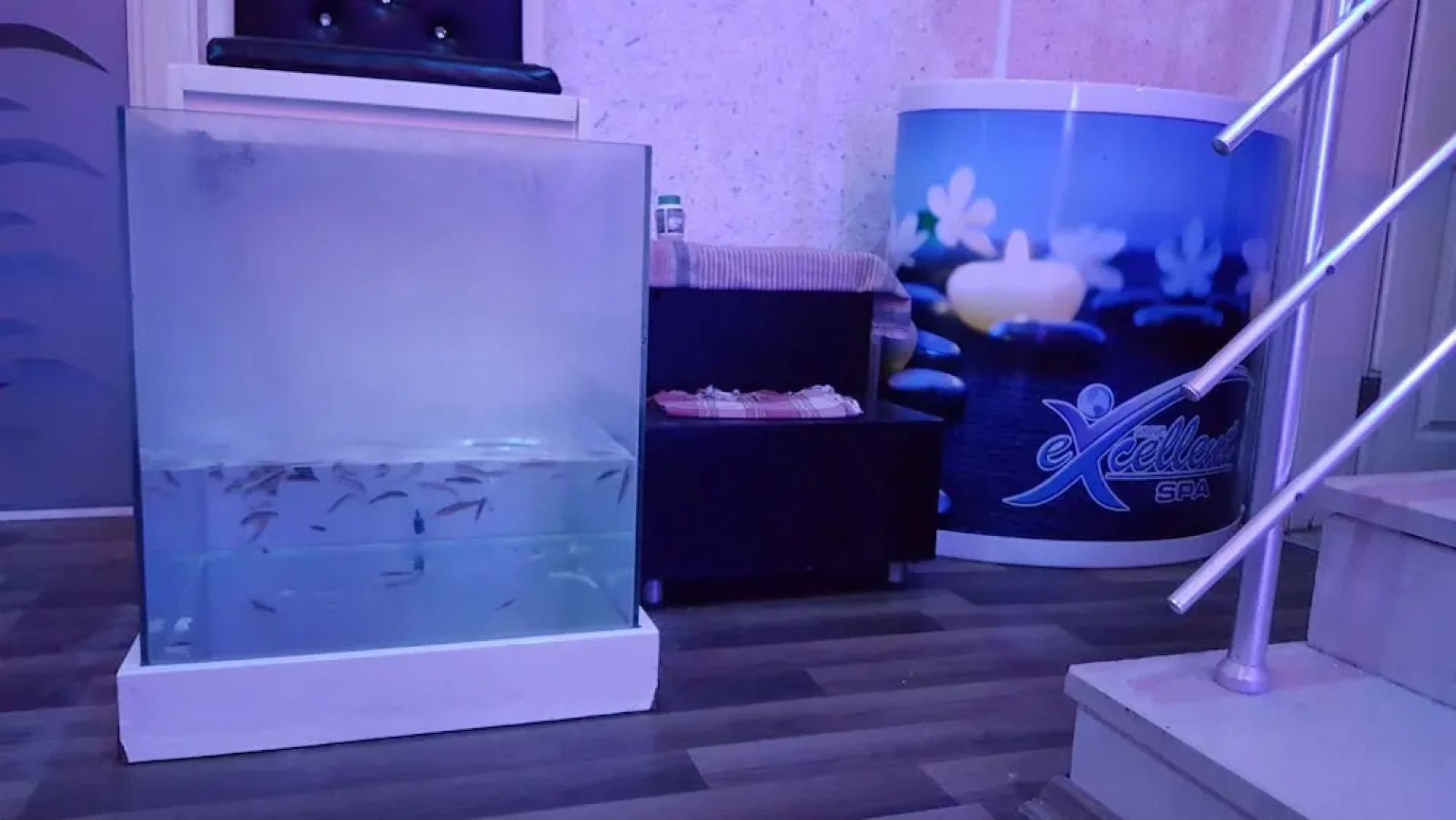 Kleopatra Togan Suit Hotel - All Inclusive