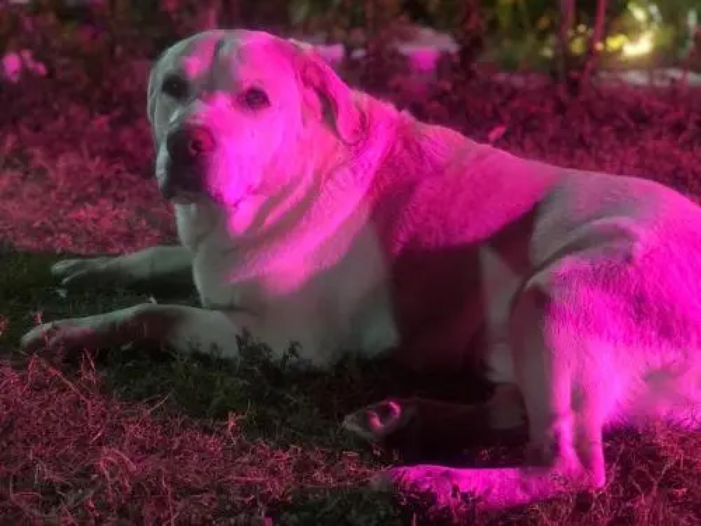 Astraal Spa And Resorts