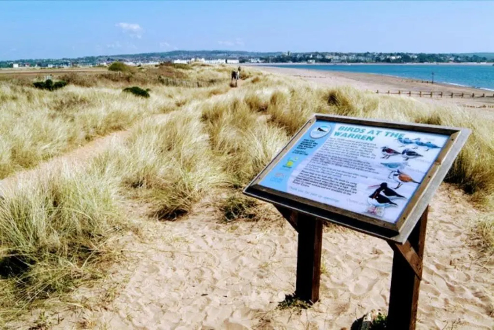 Dawlish Warren Holidays