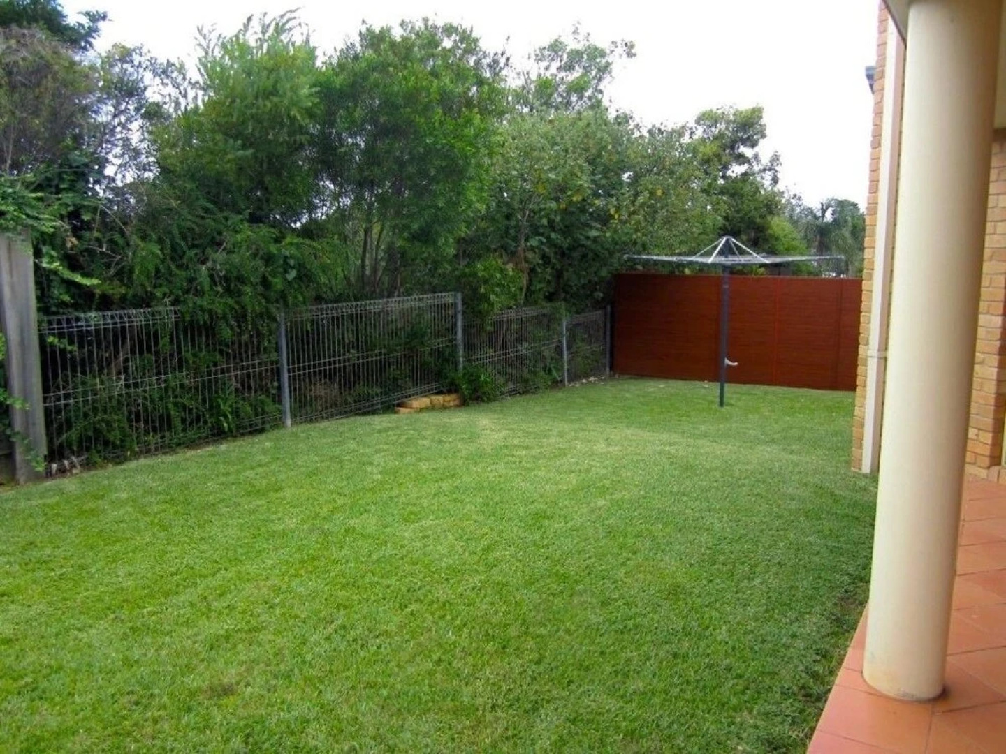 Day Dreaming On Donlan