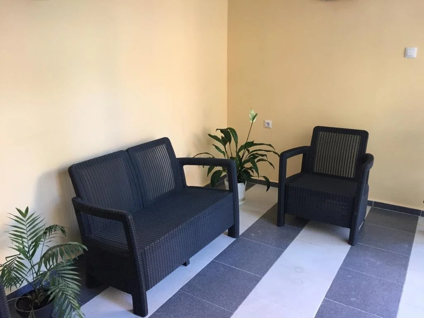 Paradise Chernomorets