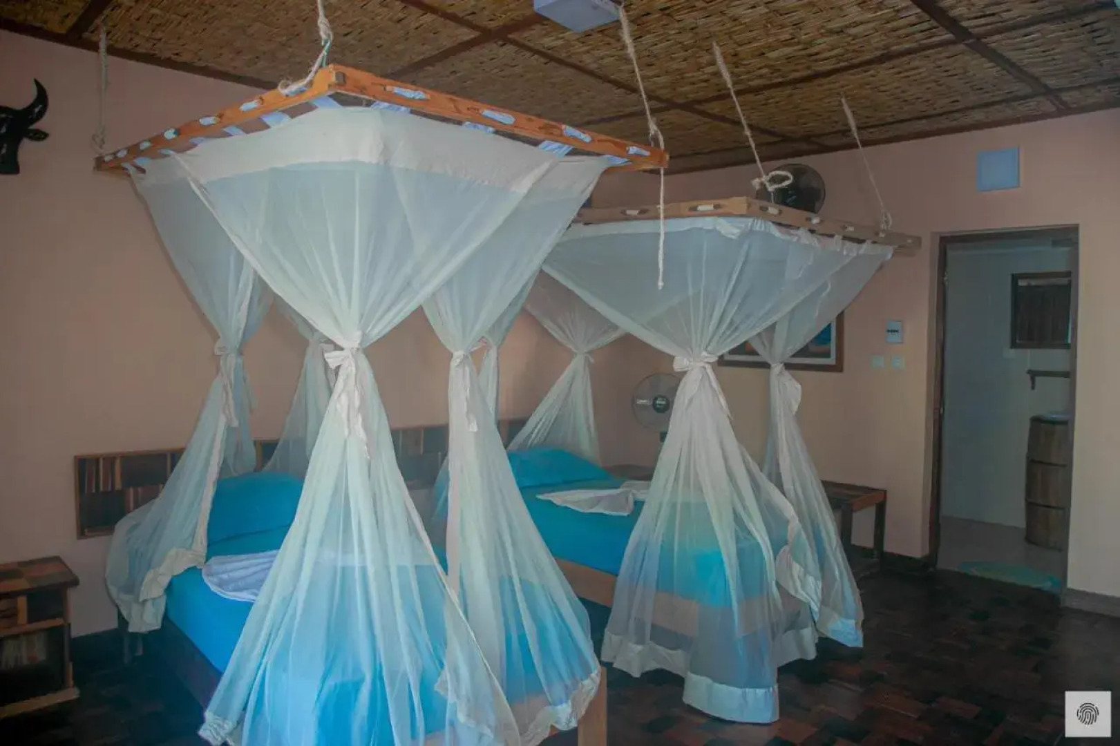 Eden De La Tsiribihina