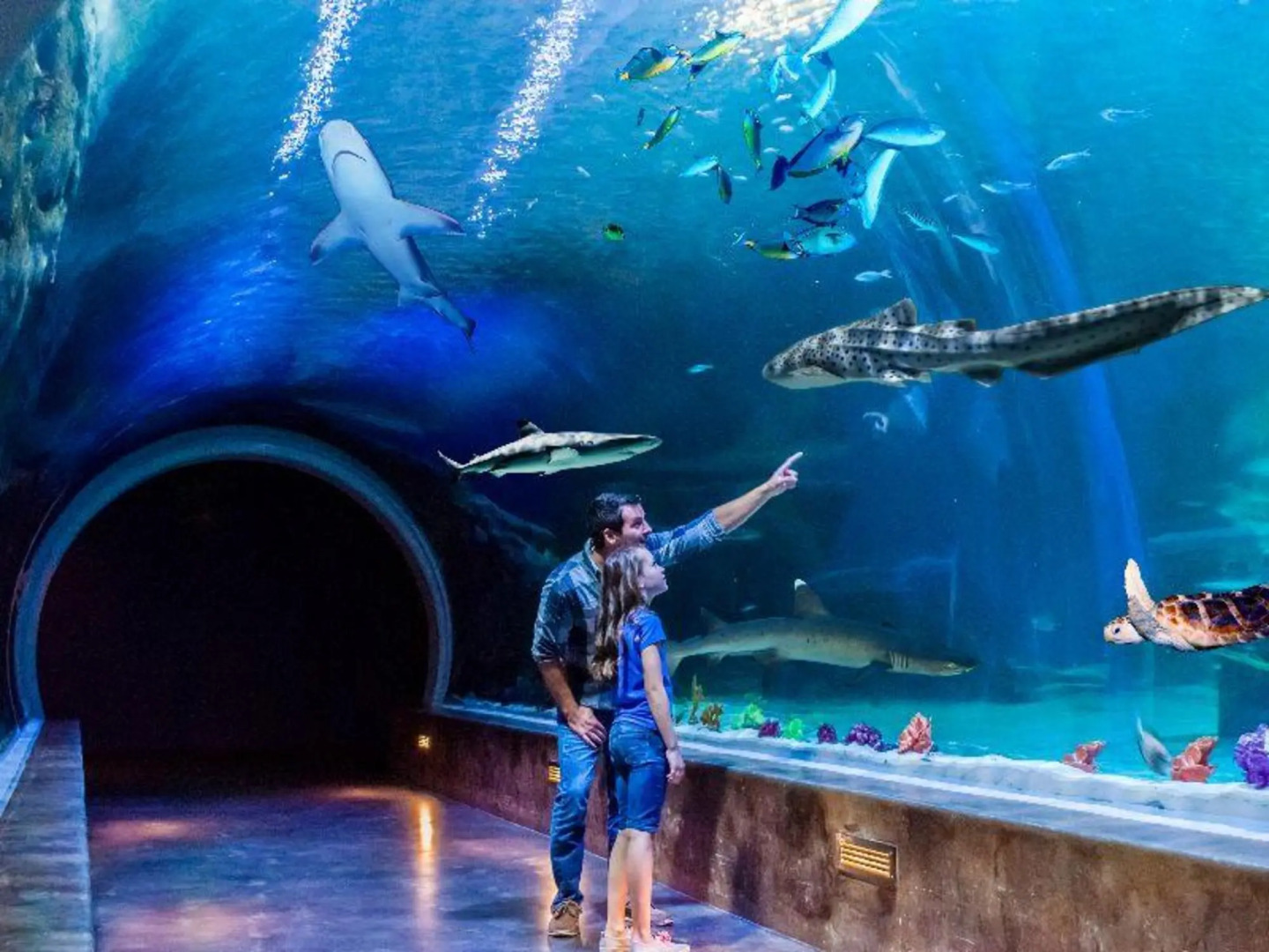 Holiday Inn South Jordan - SLC South by IHG