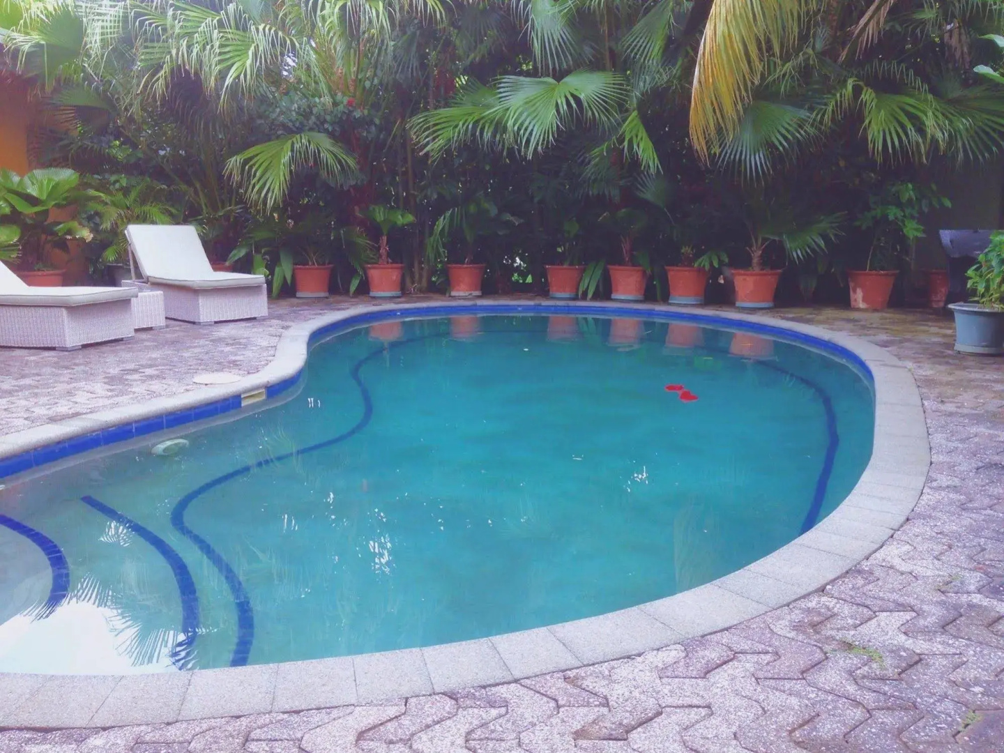 Le Alaimoana Hotel