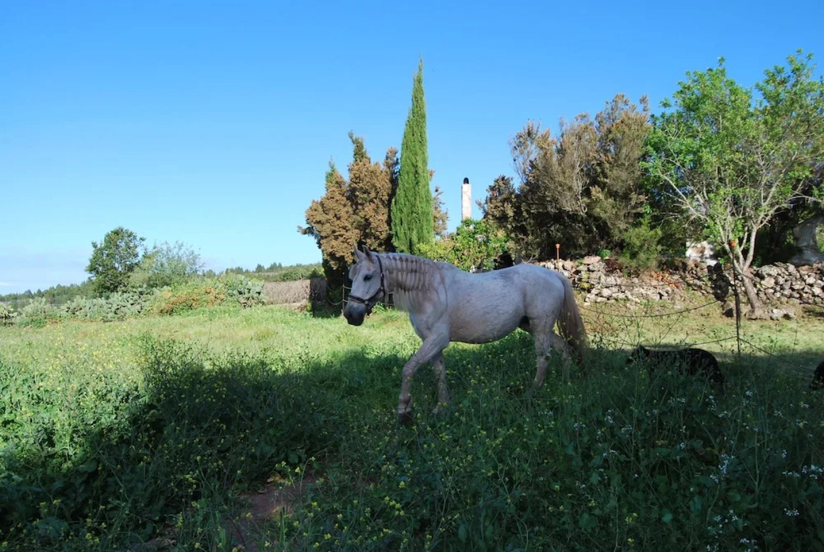HomeLike Volcano Views ECO-House