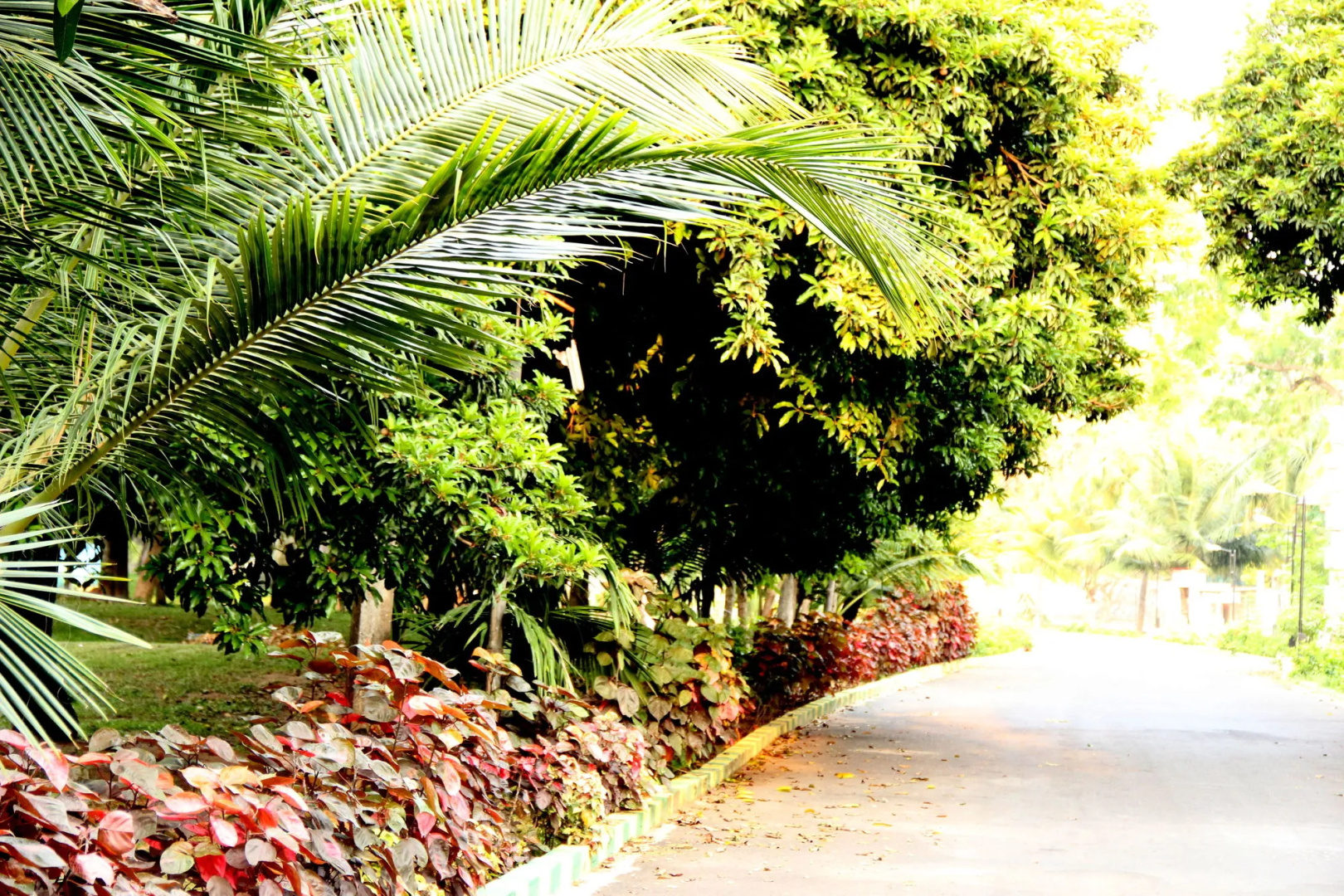 VGP Golden Beach Resort