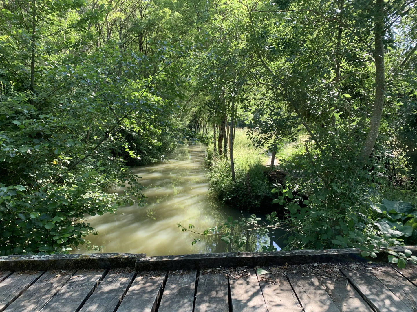 Le Clos de la Court d Aron