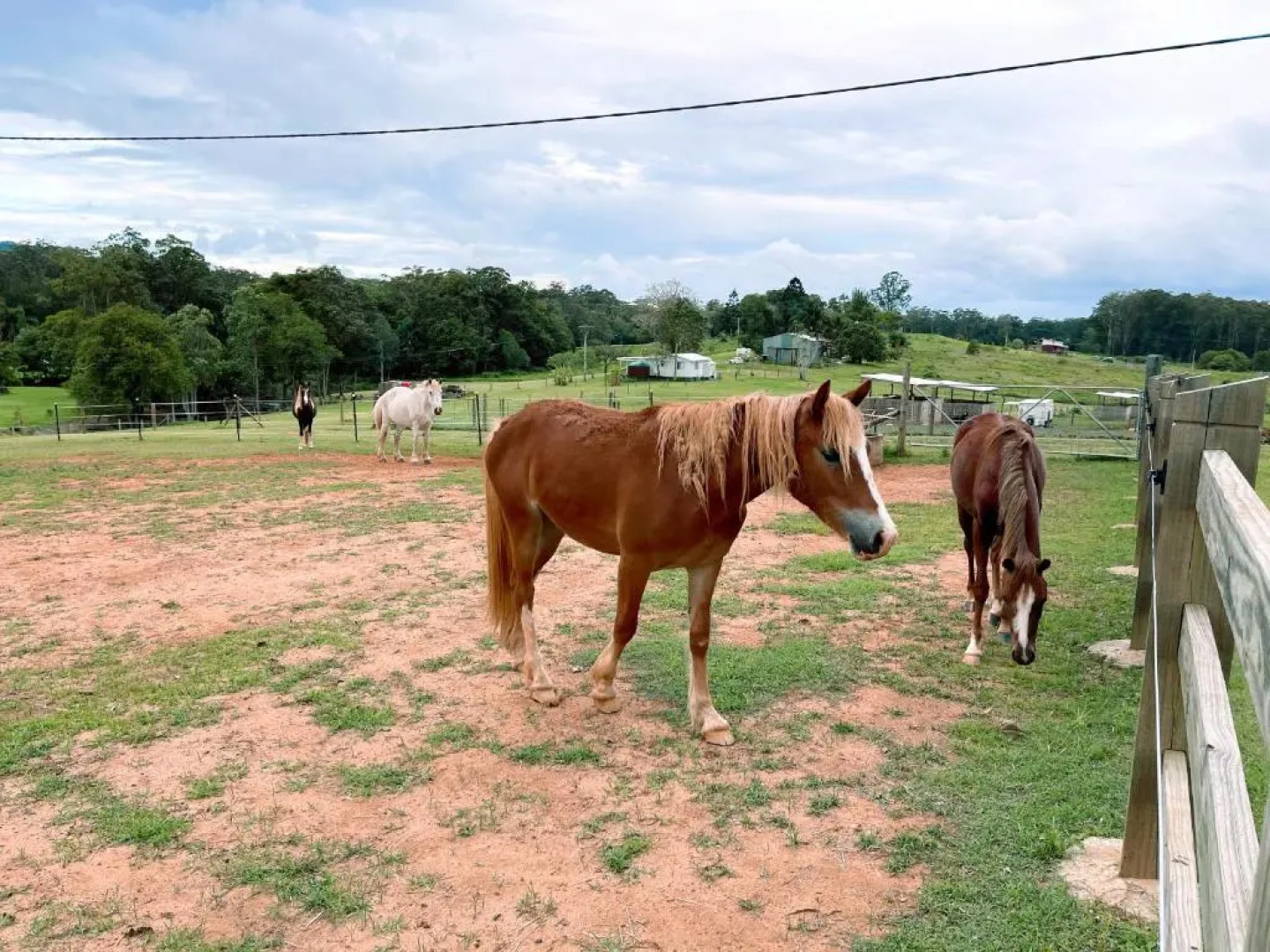 Seven Peaks Farm Stay