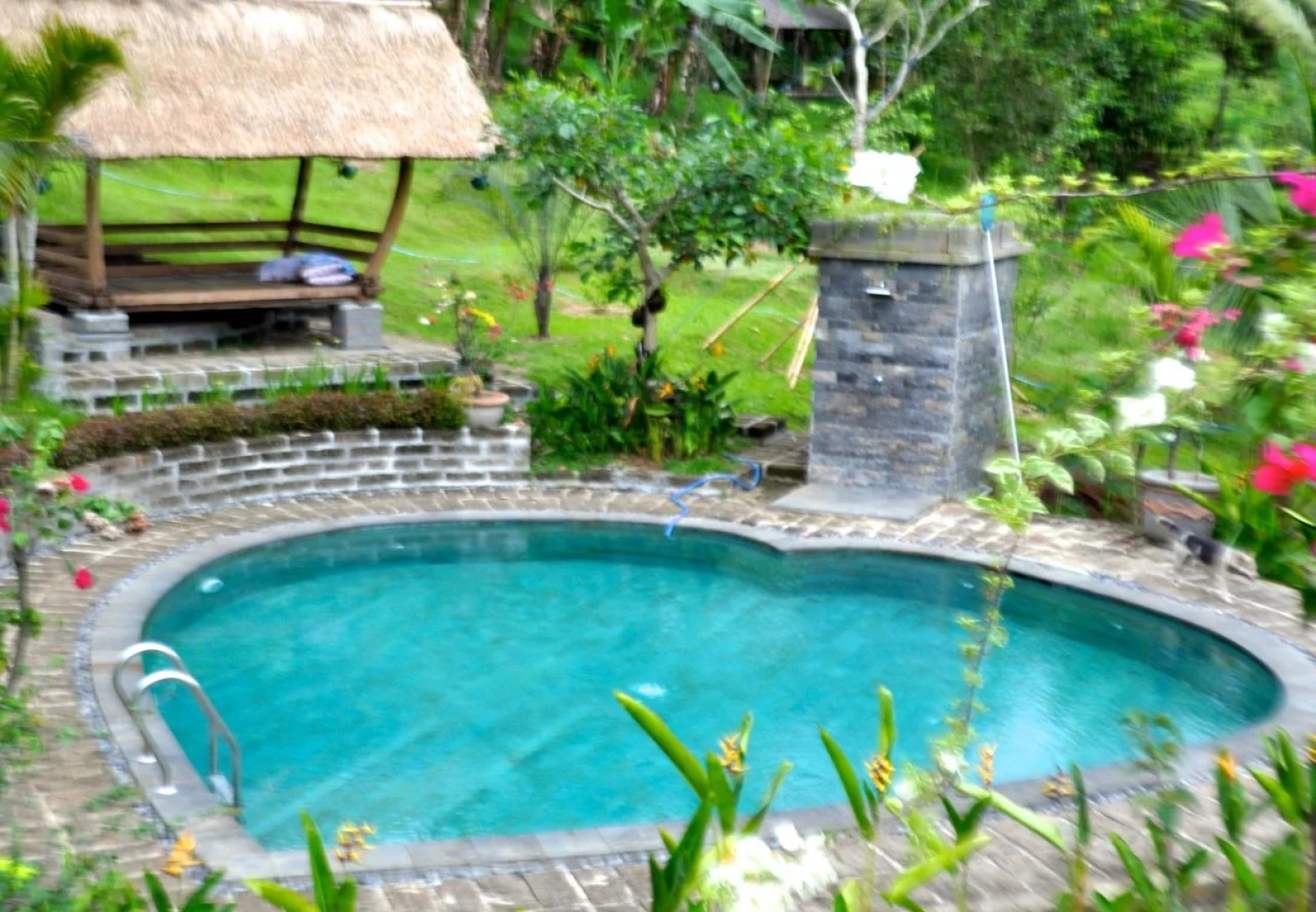 Bali Lush