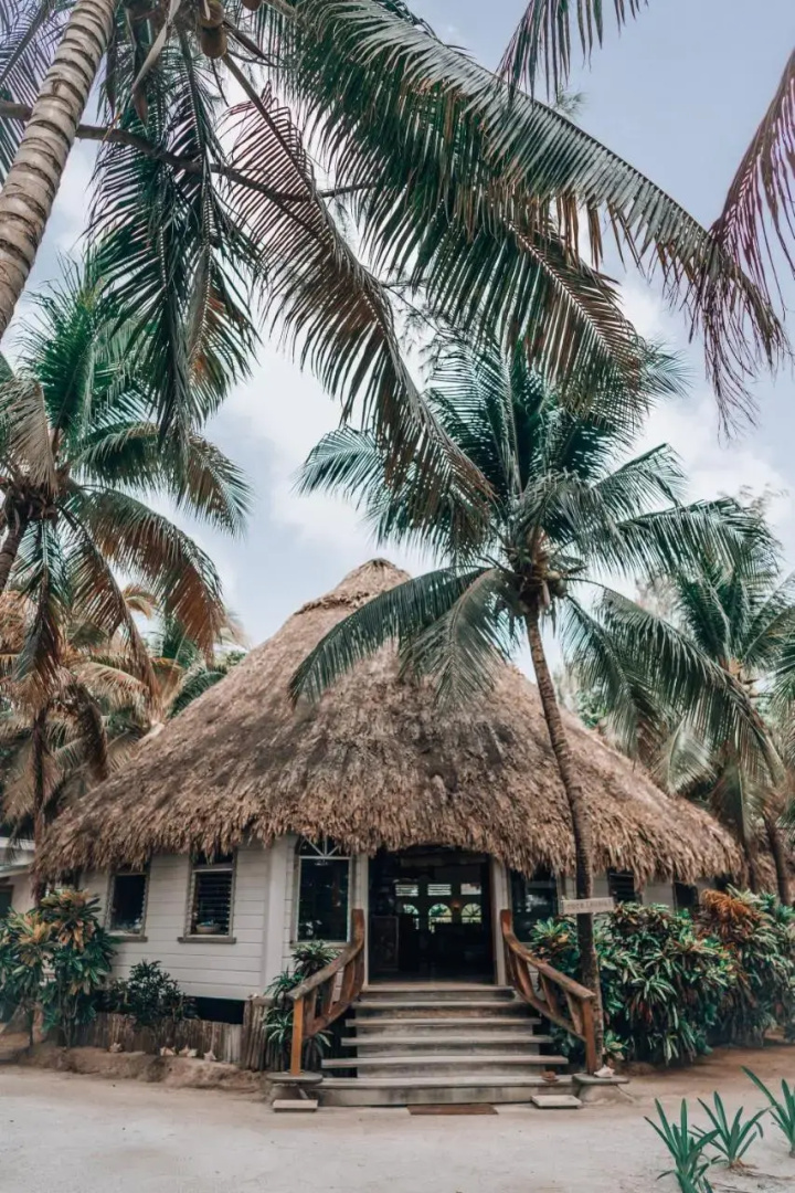 Thatch Caye Resort a Muy'Ono Resort