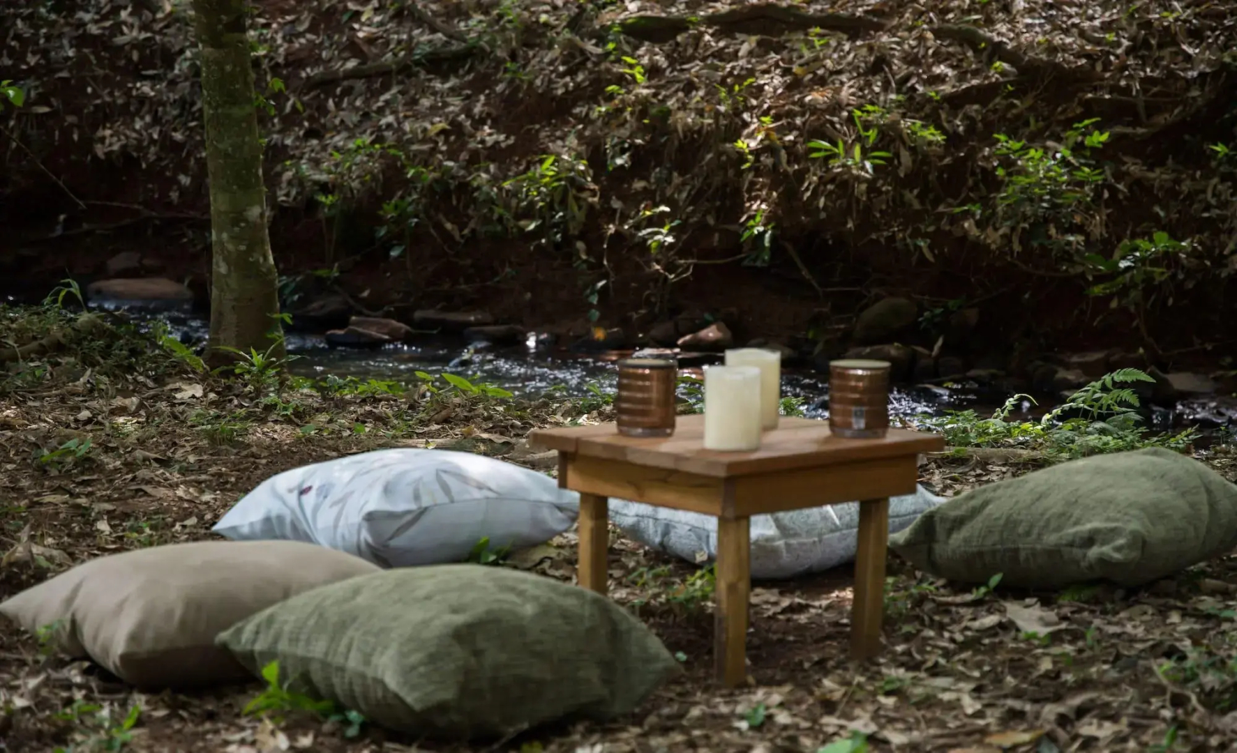 Tupa Lodge Selva el Río