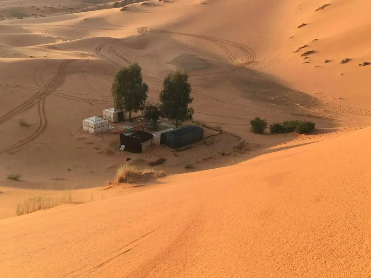 Nomadic Desert Camp Tours