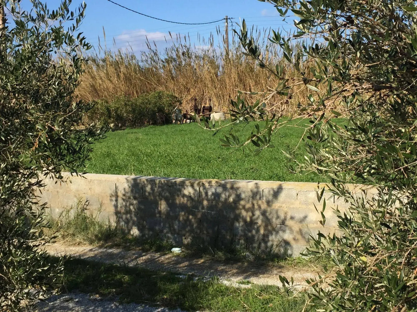 Depis Plaka Studios Naxos