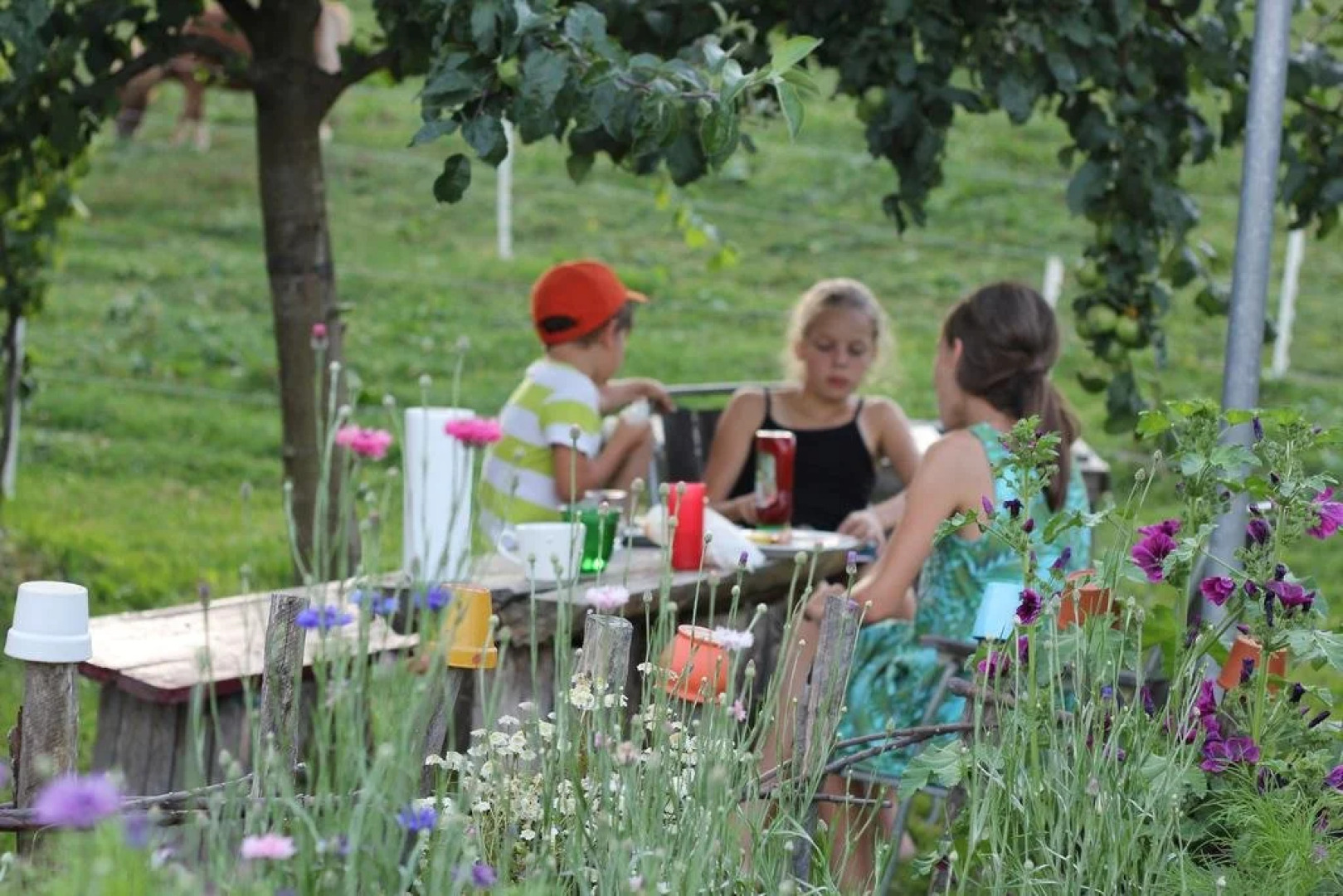 Bio Ferienbauernhof Greber