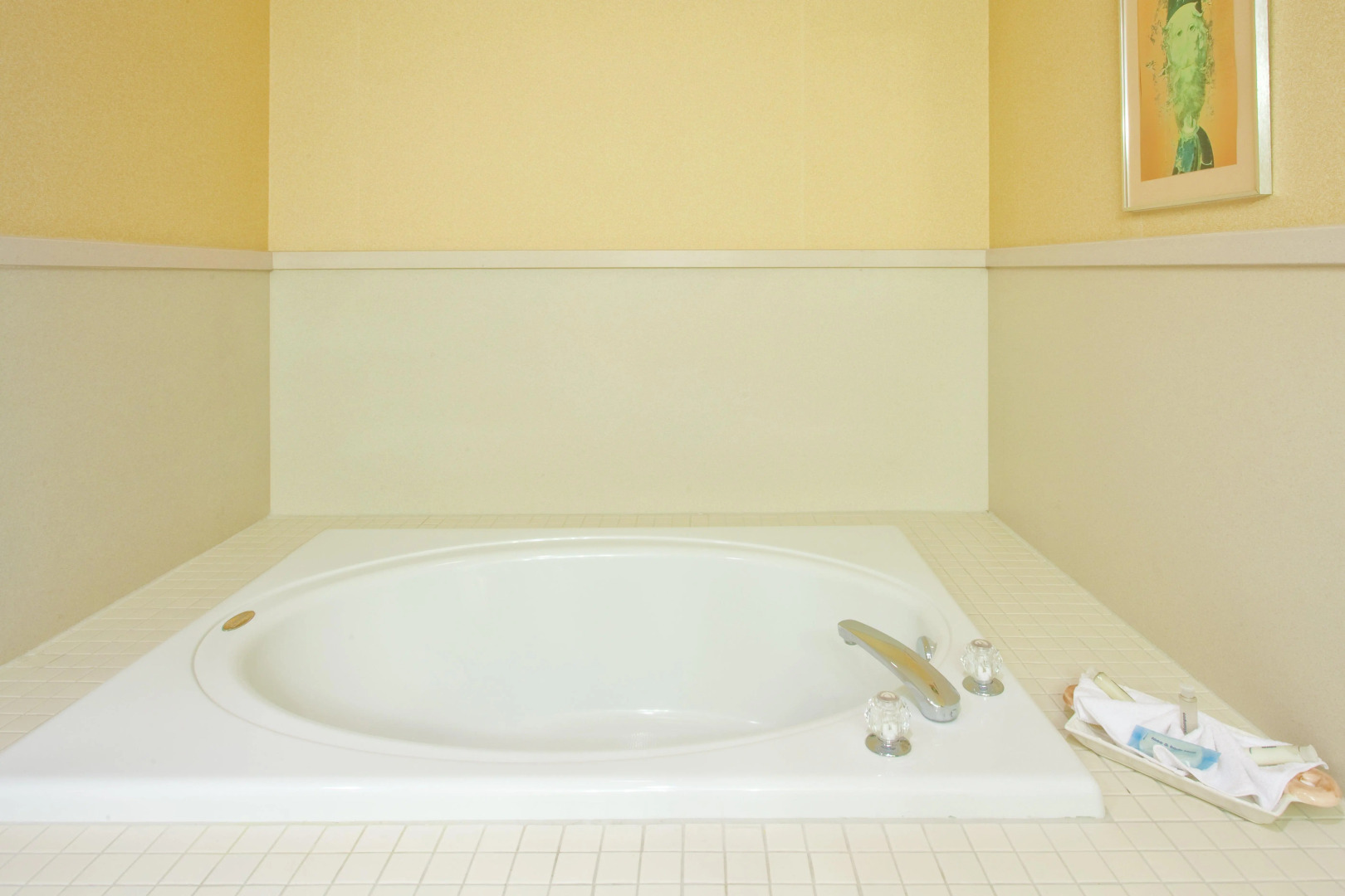 Holiday Inn Express Hotel & Suites Clearwater/Us 19 N by IHG