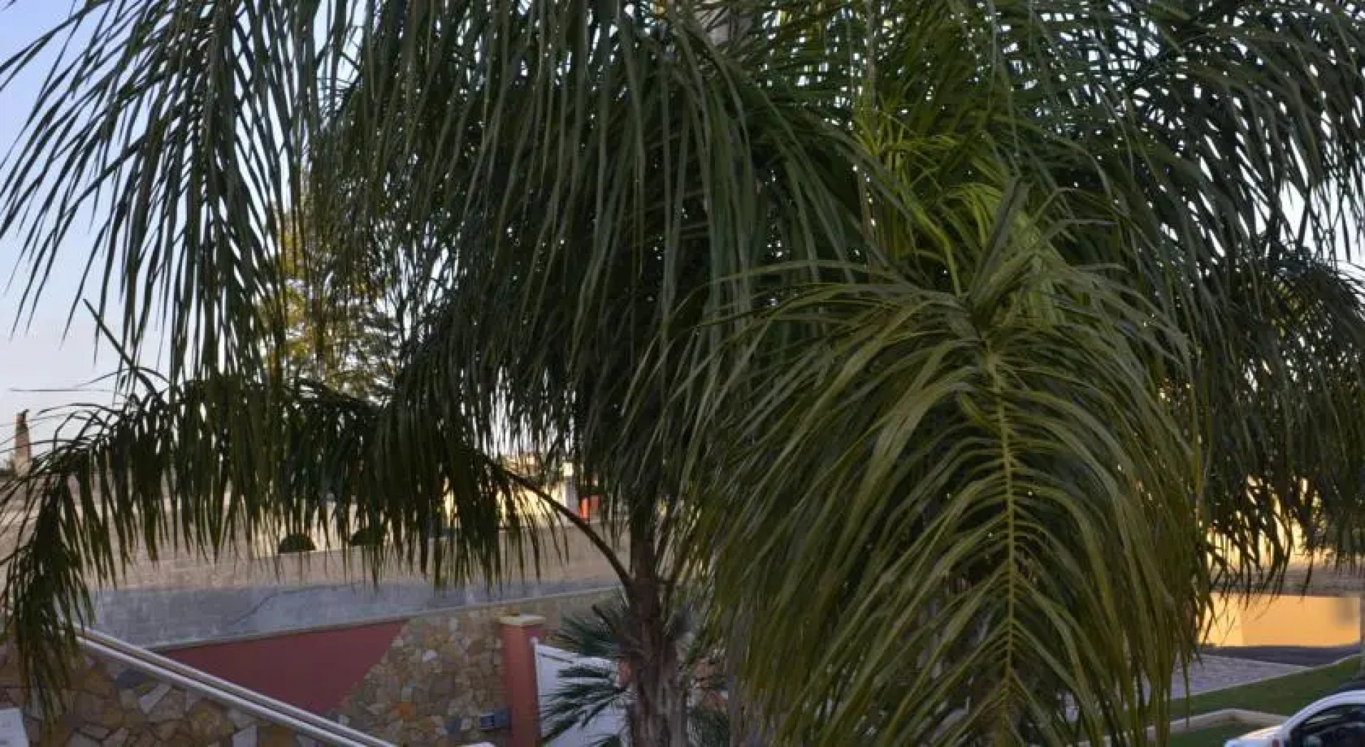 Il Carrubo del Salento