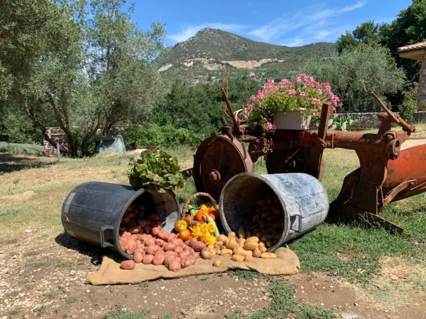 Agriturismo Panta Rei