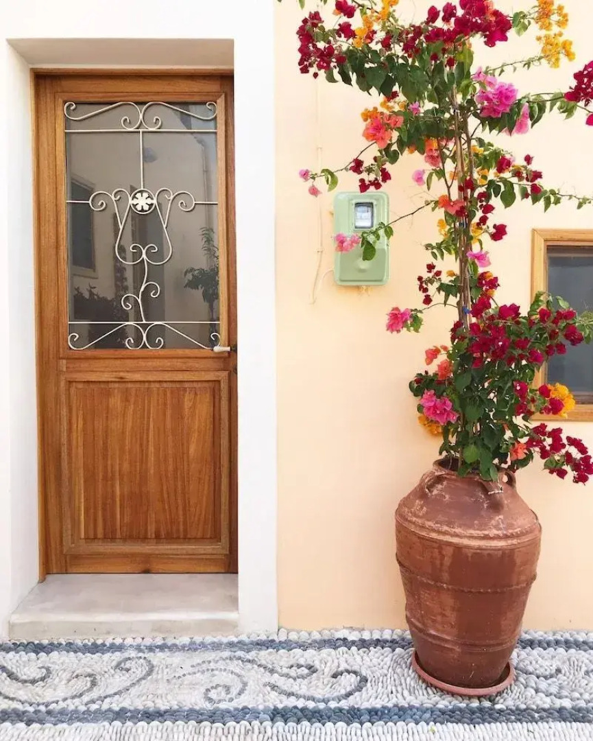 Rose Traditional House