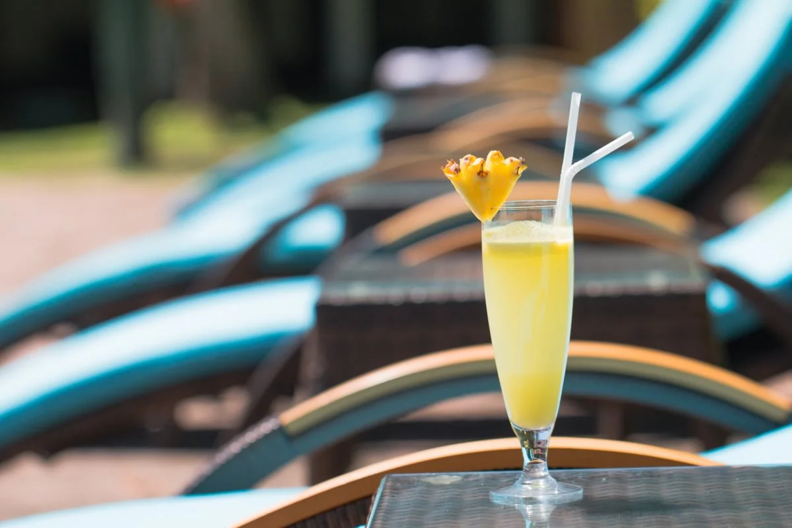 Palms, Mount Lavinia