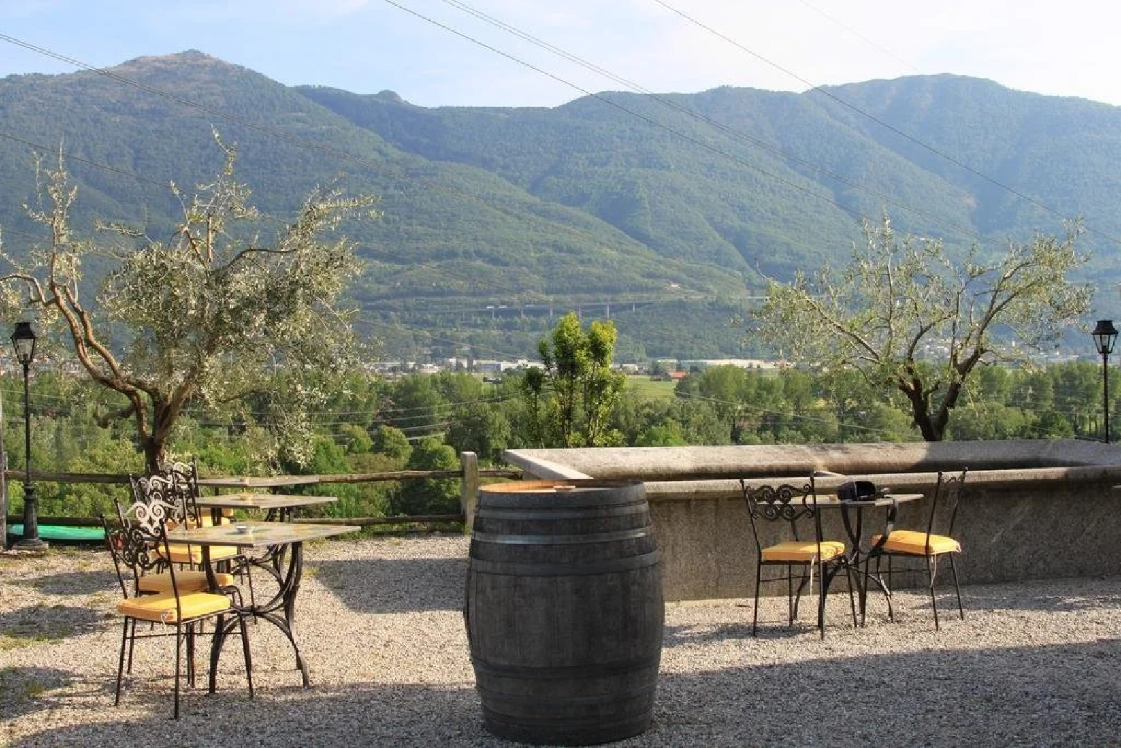 Fattoria l'Amorosa