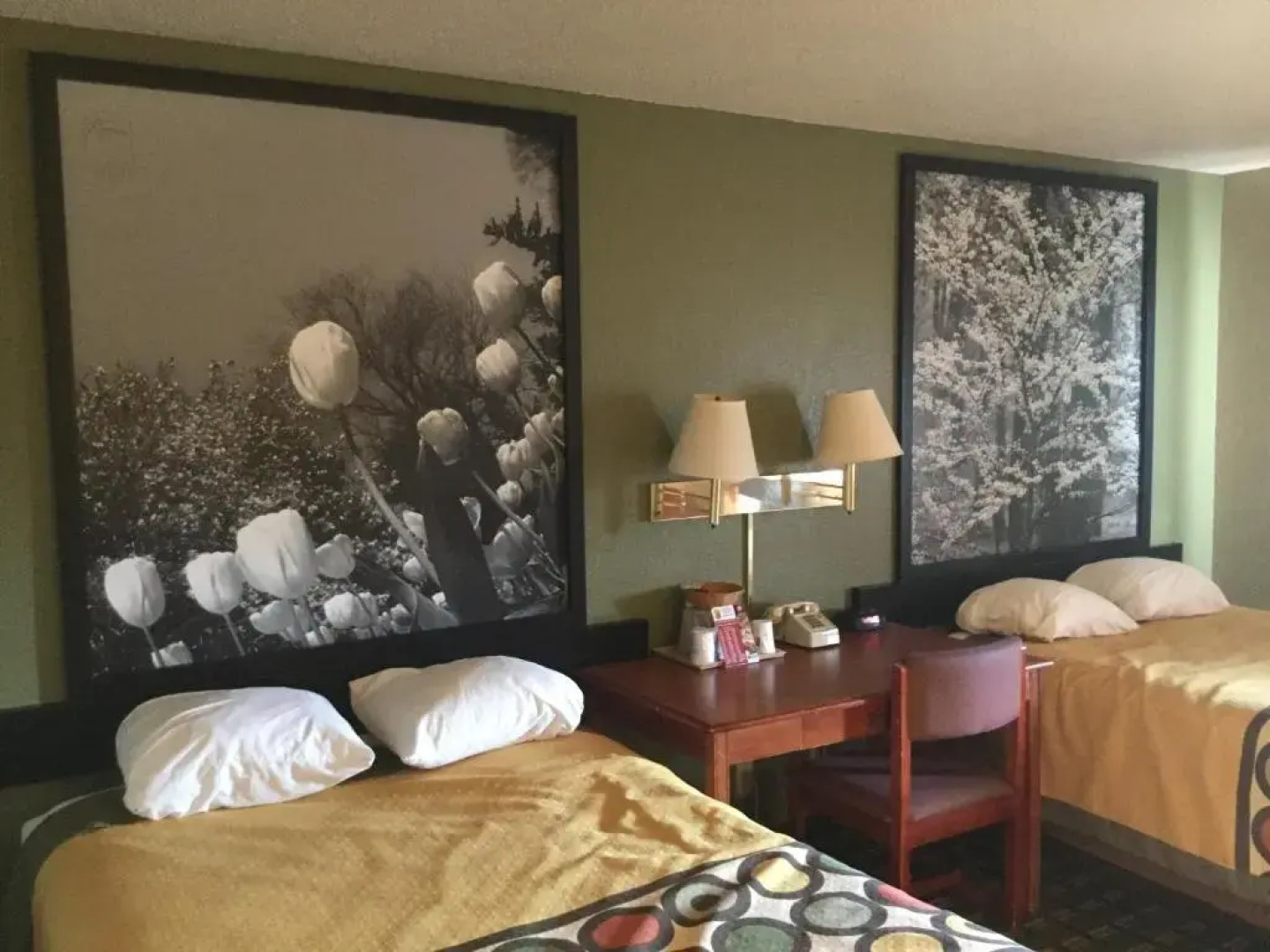 Super 8 Youngstown/Austintown