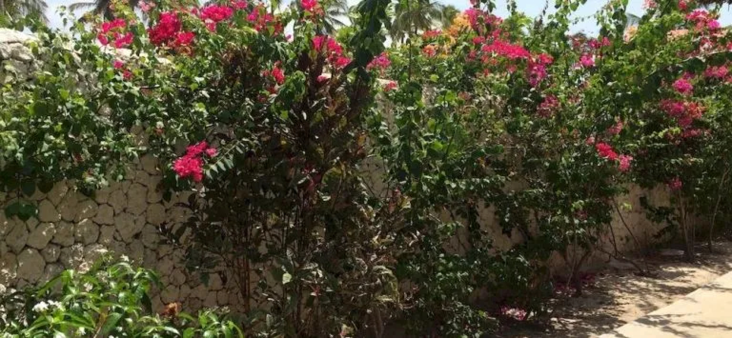 Zanzibar Garden Villa
