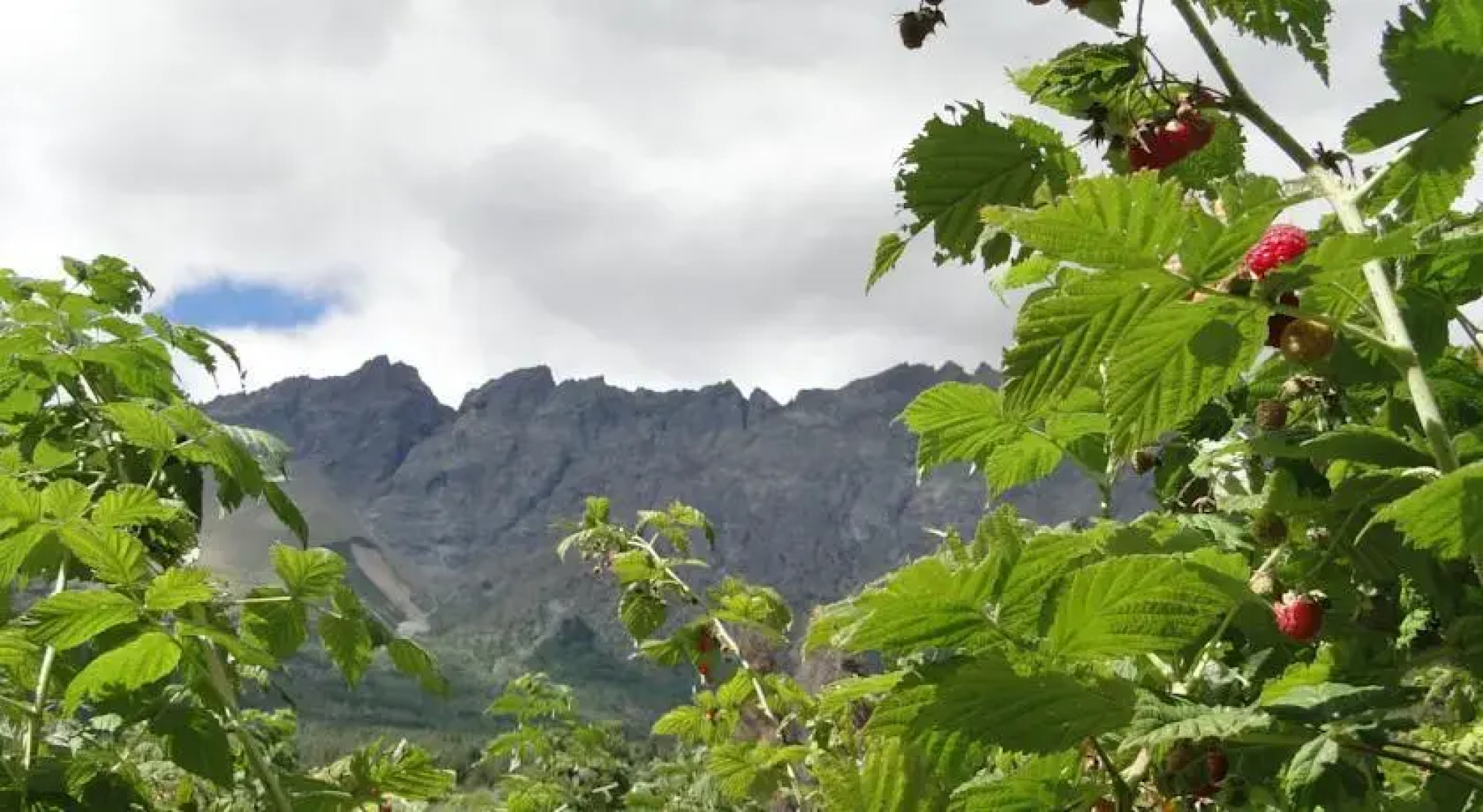 Granja Los Pinos