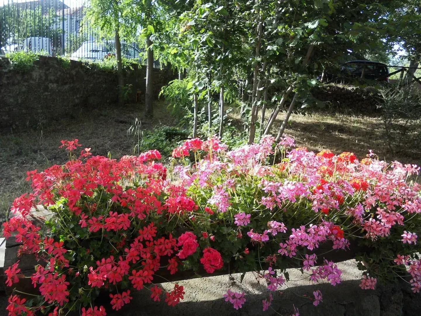Linfinito Guest House