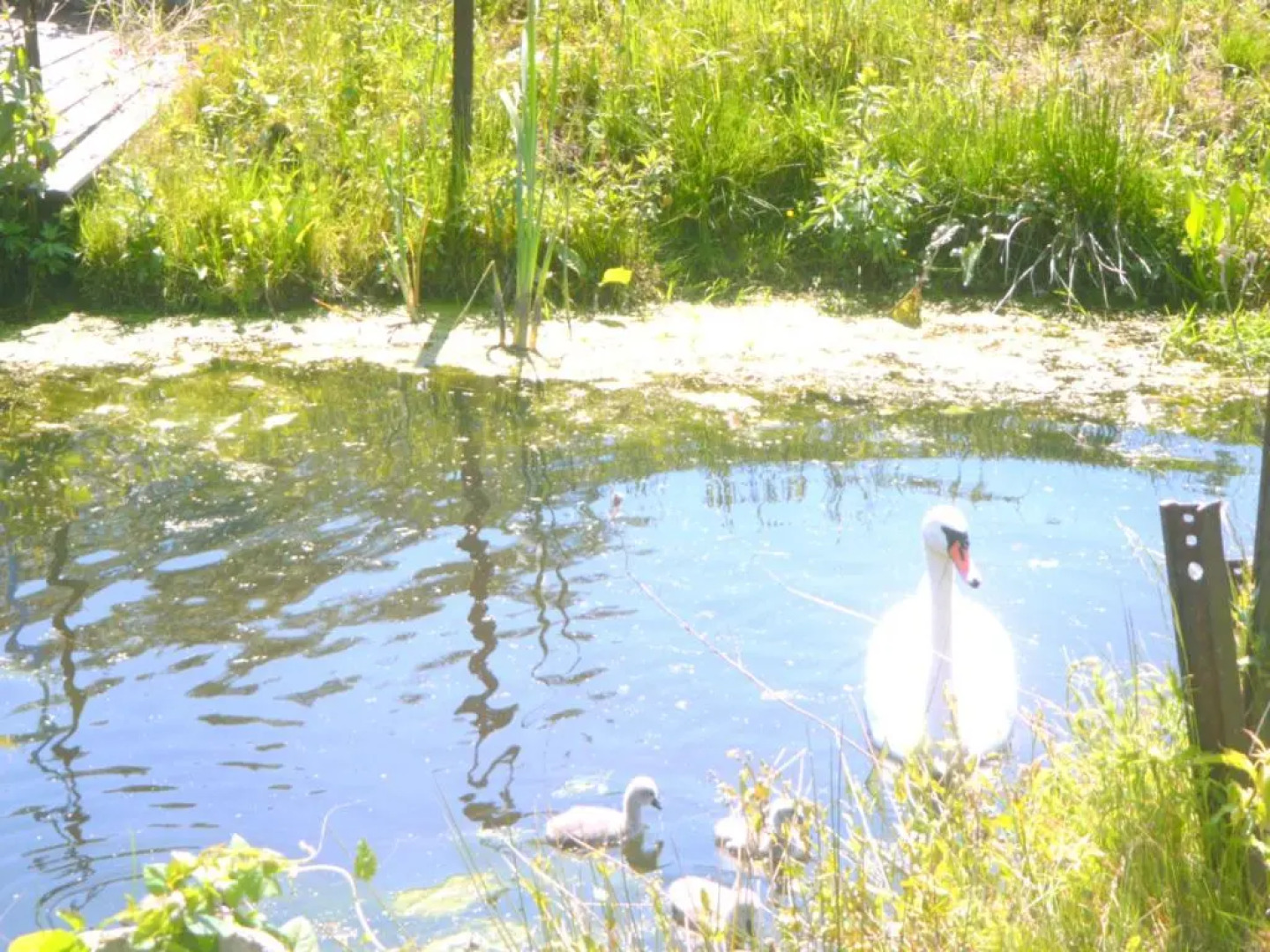 Ferienwohnung am Heegesee