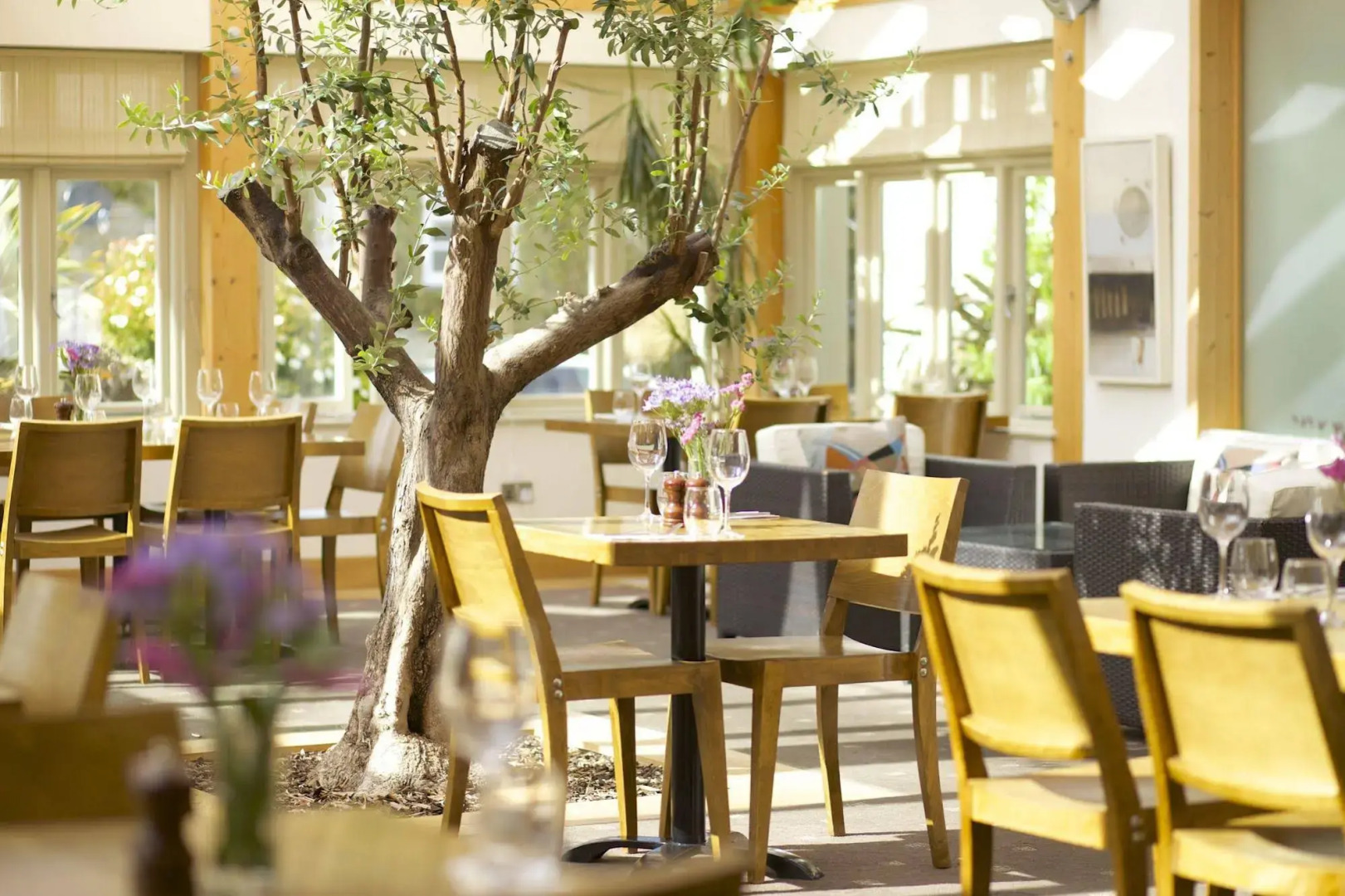 The Plume of Feathers