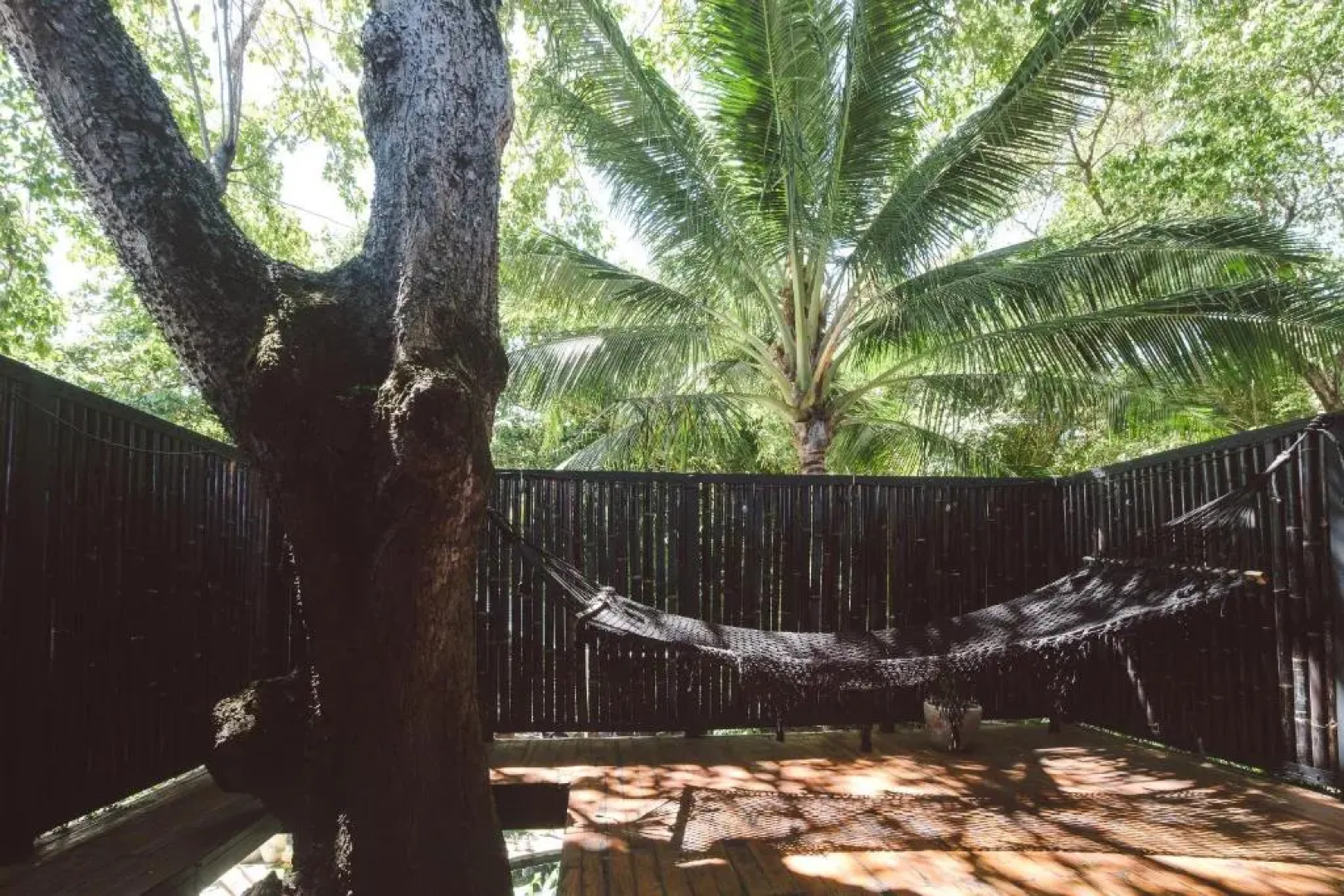 La Negra Surf Hotel & Soda