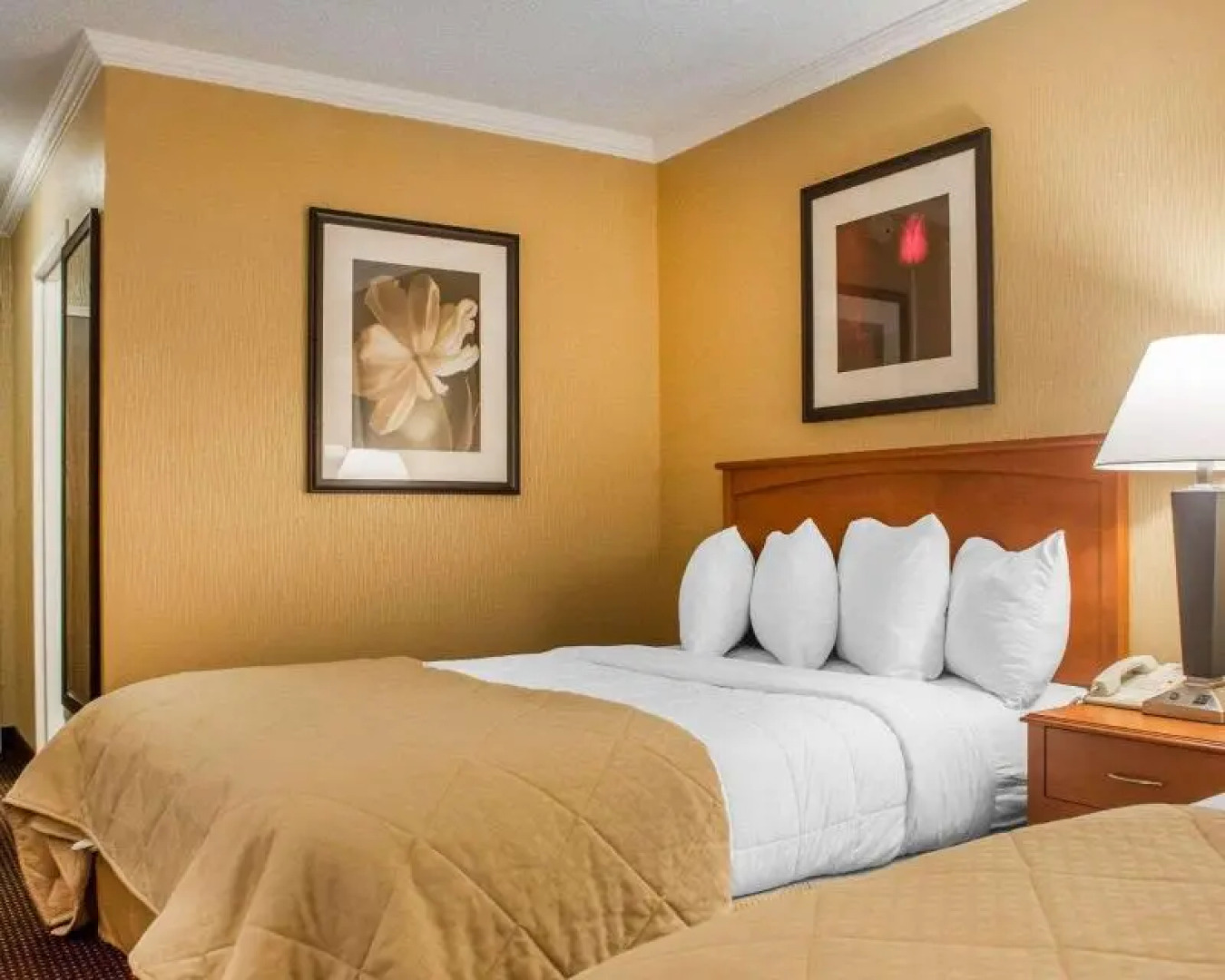 Quality Inn & Suites Riverfront