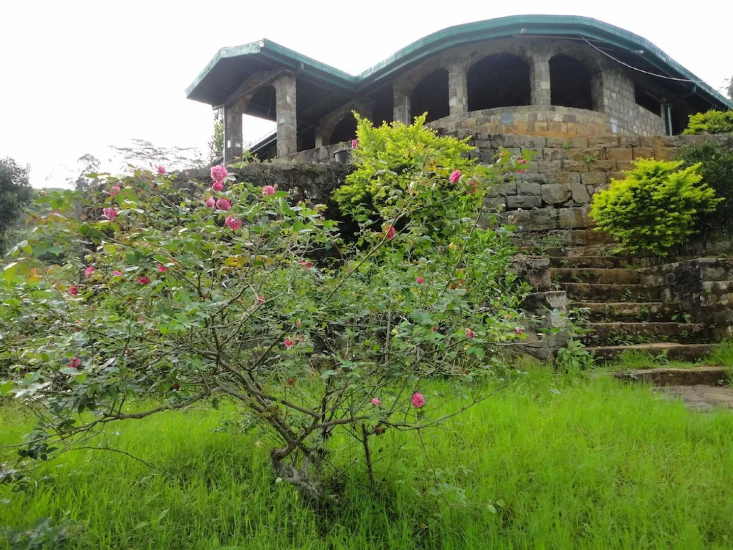 Castlereigh Holiday Inn and Cottages