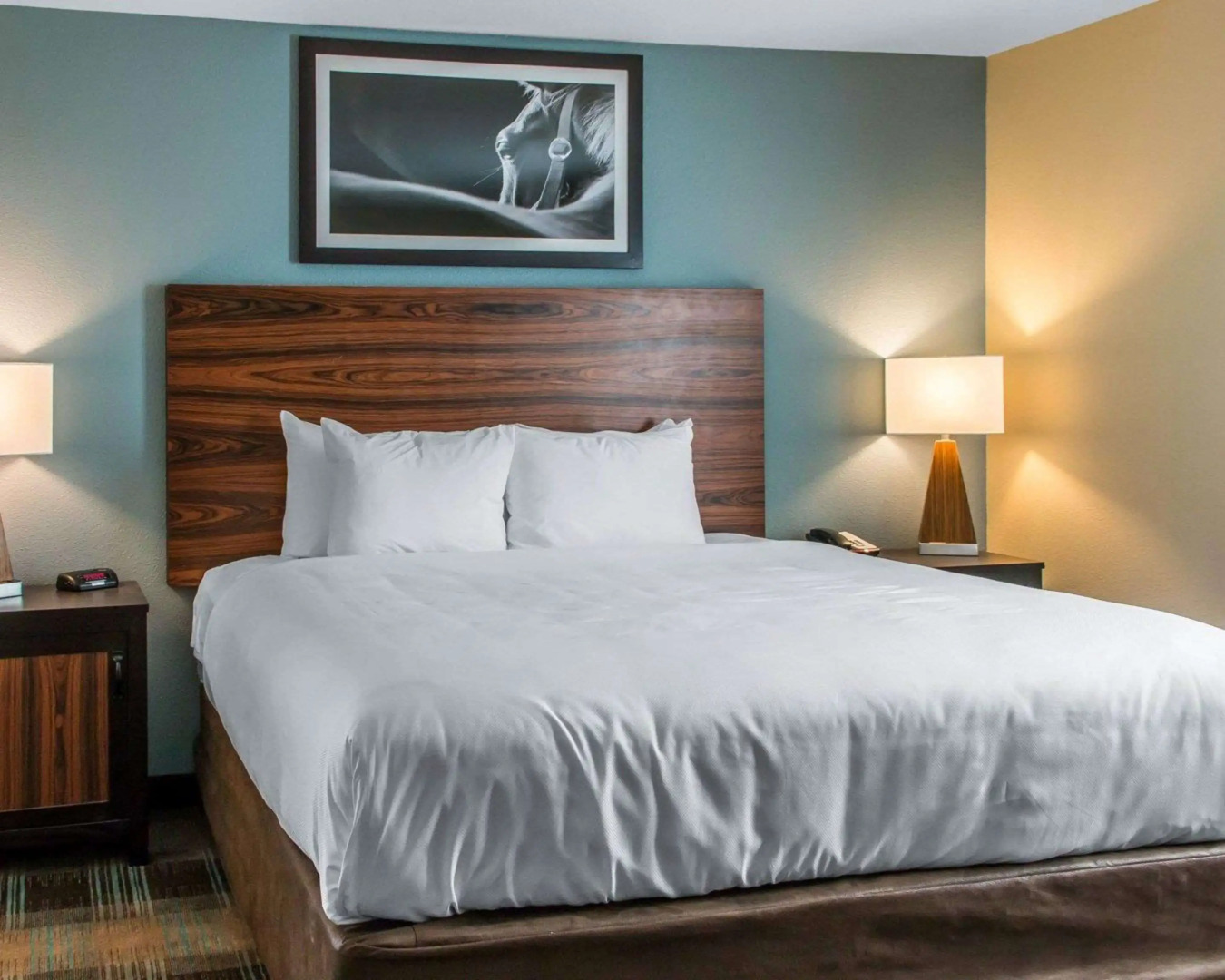 MainStay Suites Cotulla