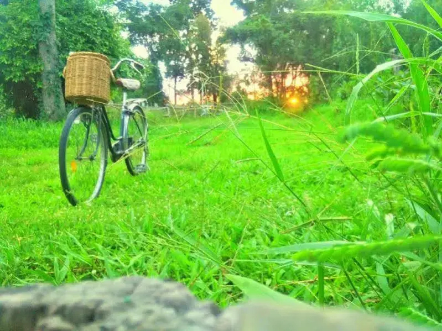 Baan Kamolsit Resort