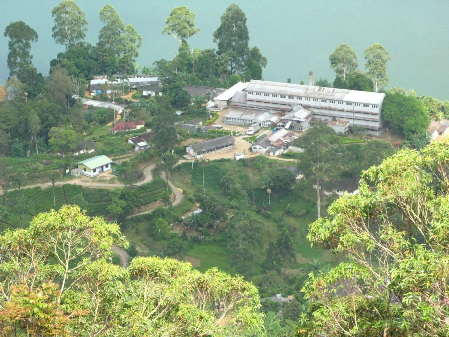 White House Adam's Peak