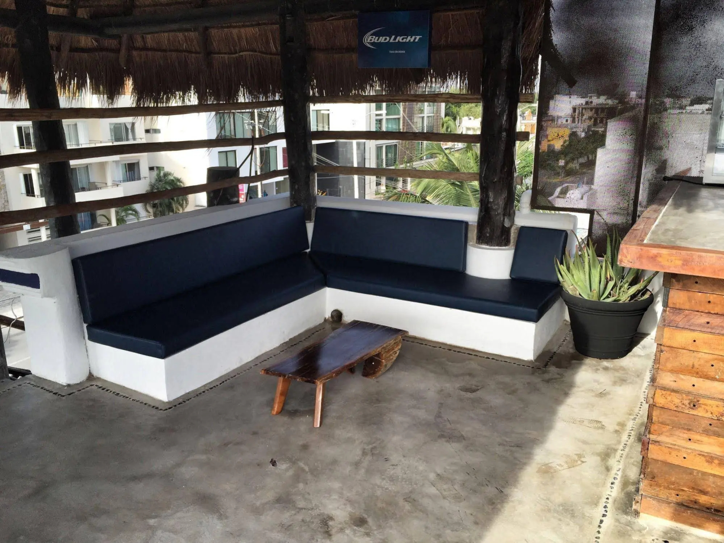 Lobo de Mar Hostel Playa del Carmen