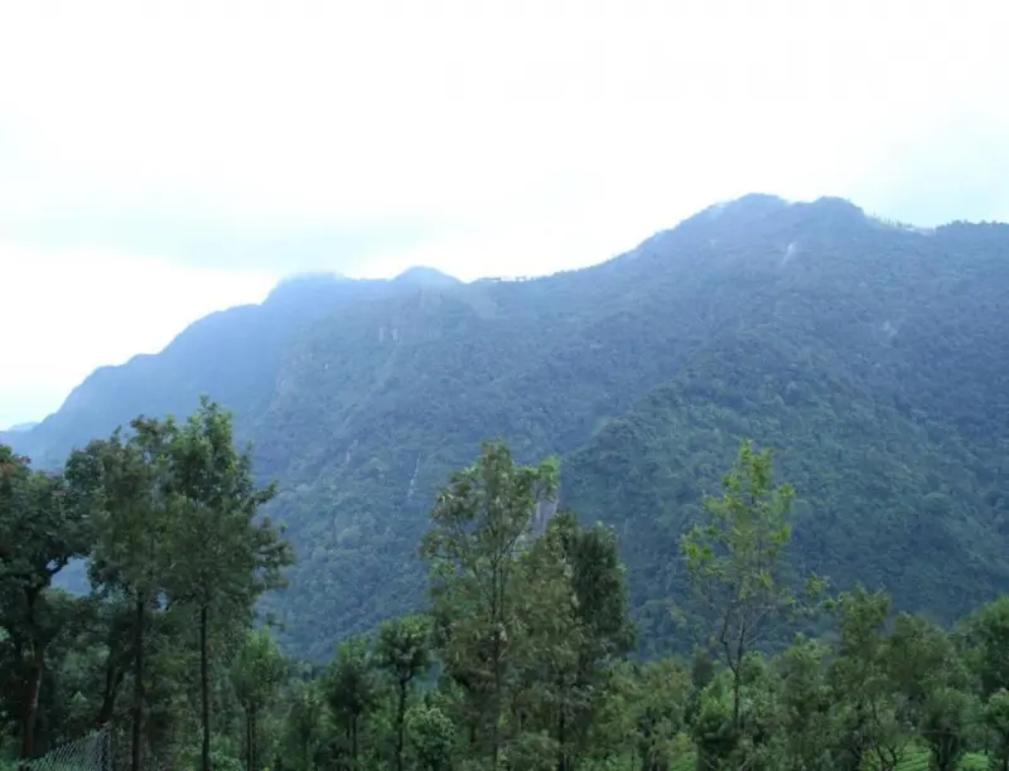 Coonoor Mountain Cottages by Lexstays