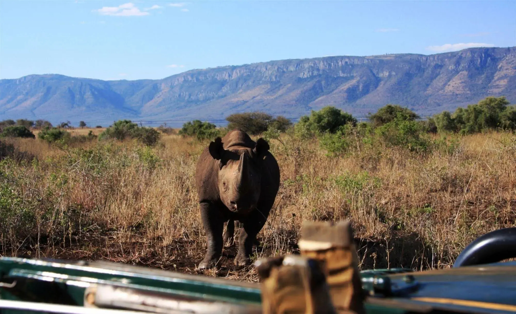 Africamps at White Elephant Safaris