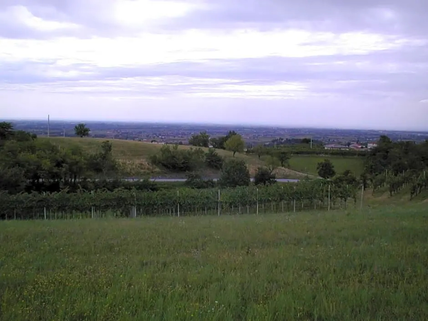 Hotel Ristorante Pedrocchi