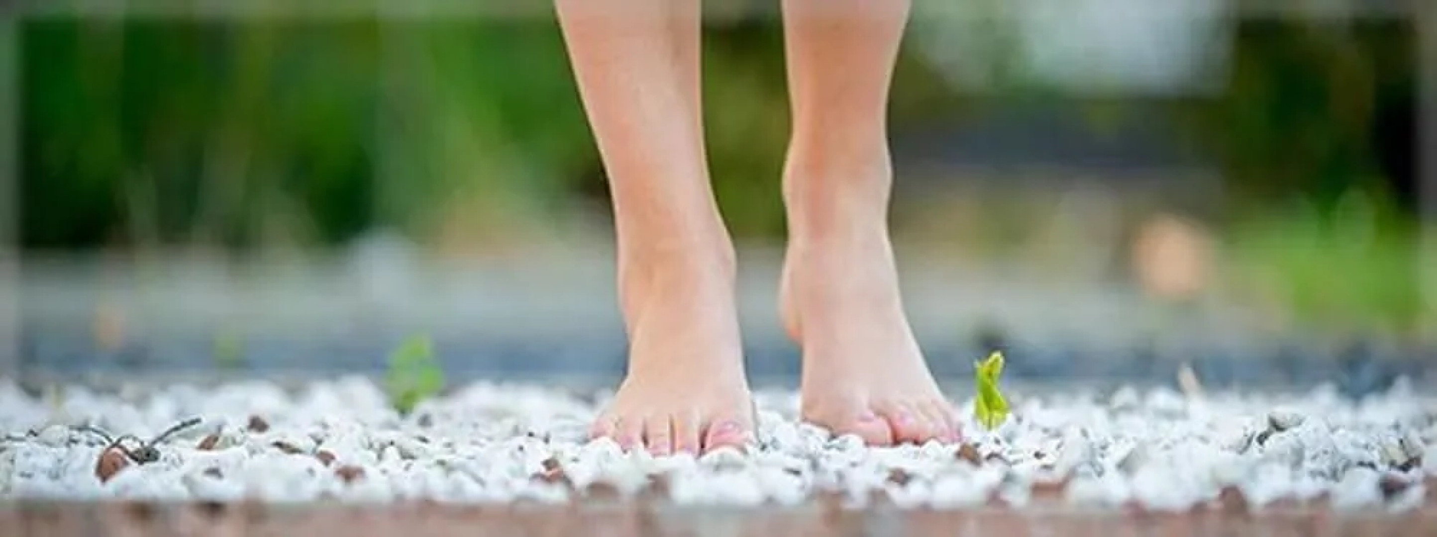 Landhotel Jann Hinsch Hof