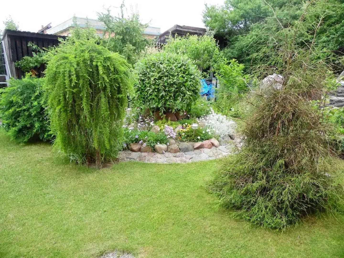 Zelta pirts Guest House